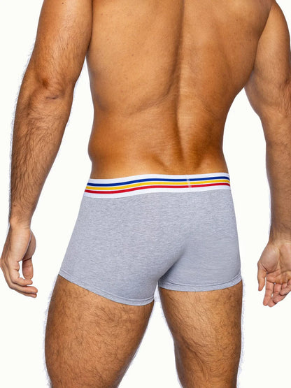 BIKE STRETCH COTTON TRUNK - GRAY