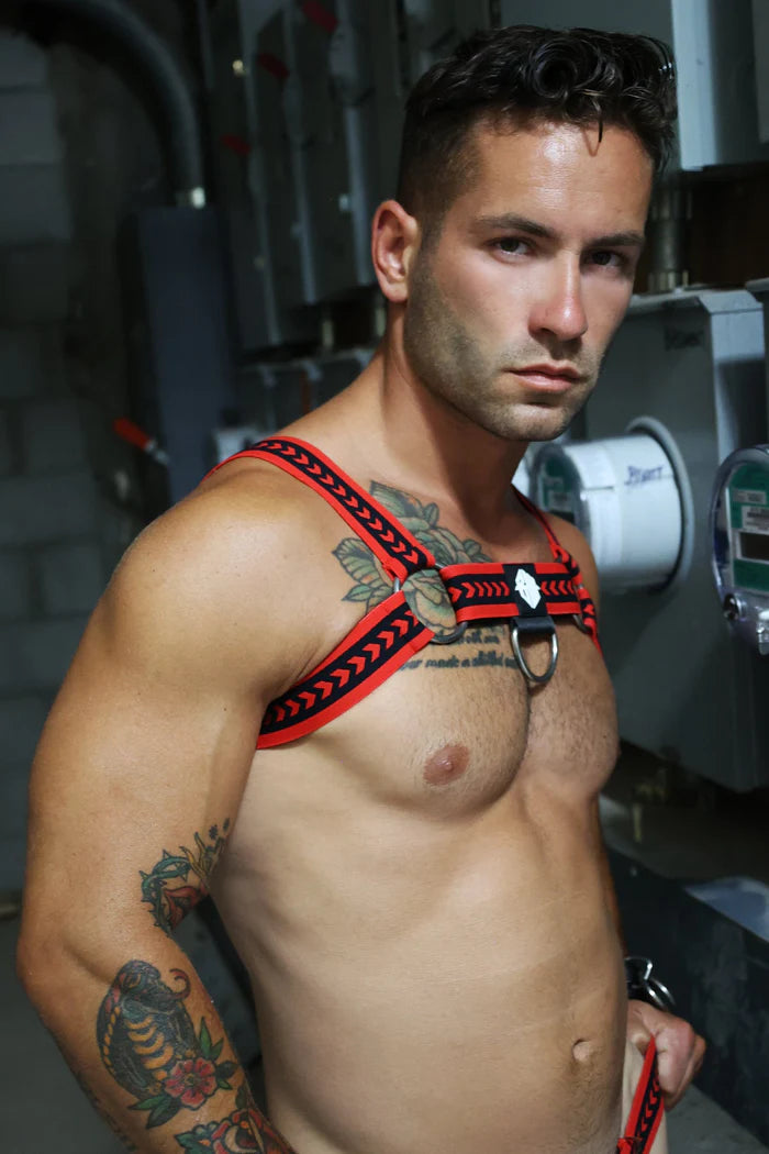 BREEDWELL DADDY'S FAVORITE BULLDOG HARNESS RED