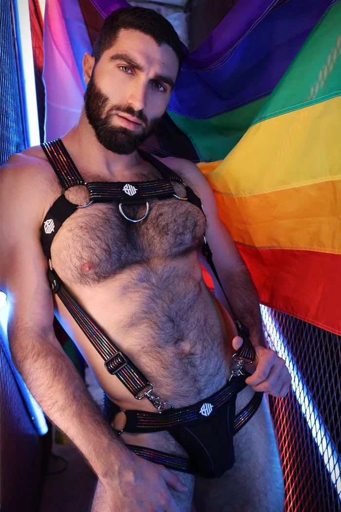 BREEDWELL ICON PRIDE BODY HARNESS