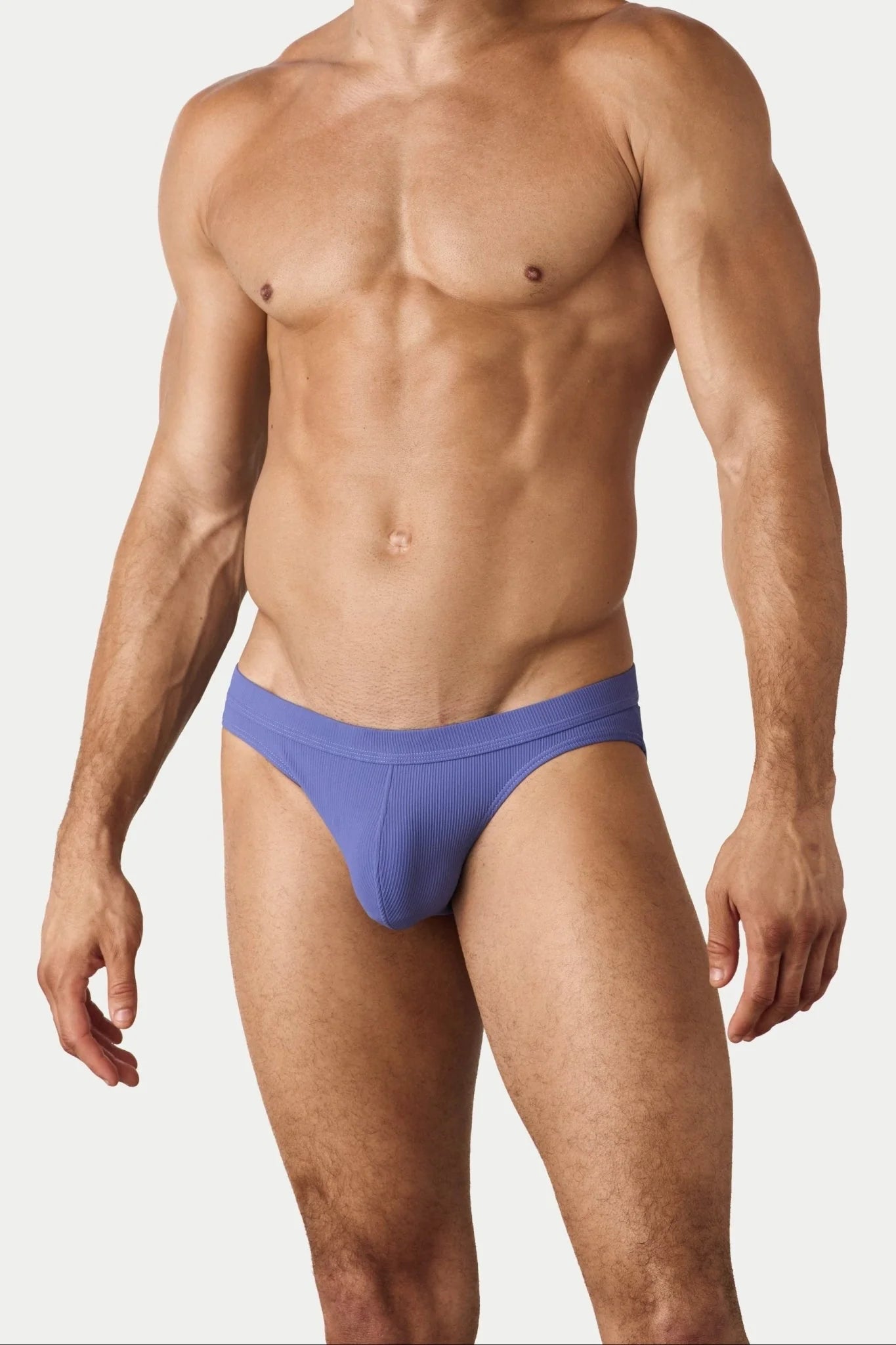 AWRY OASIS CONTOUR SWIM BRIEF - LAVENDER