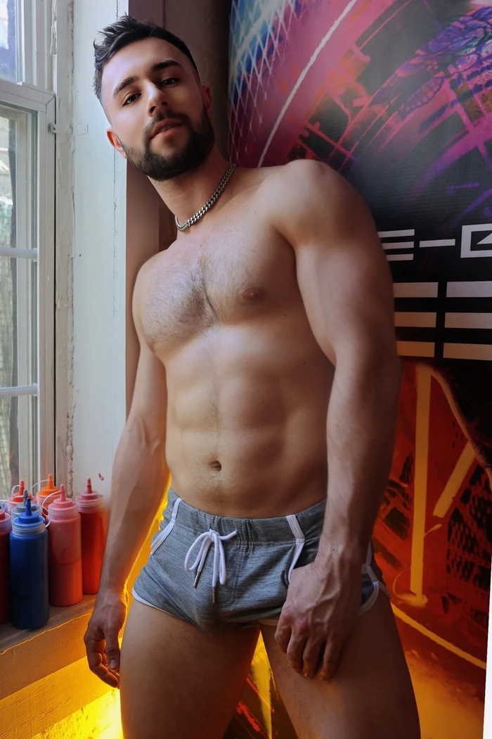 BREEDWELL RETRO REMIX SHORT - GRAY