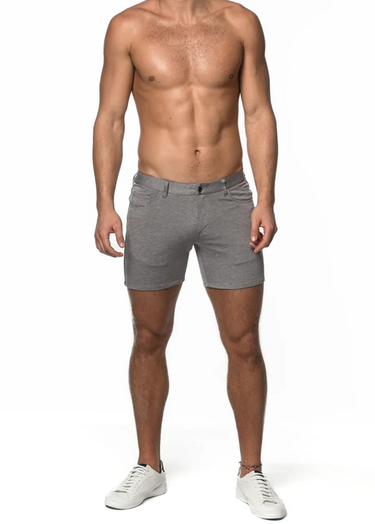 ST33LE SHORT - GRAY